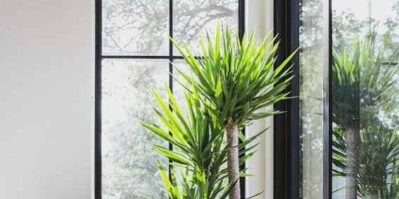 geam tripan geam tripan