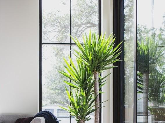 geam tripan geam tripan